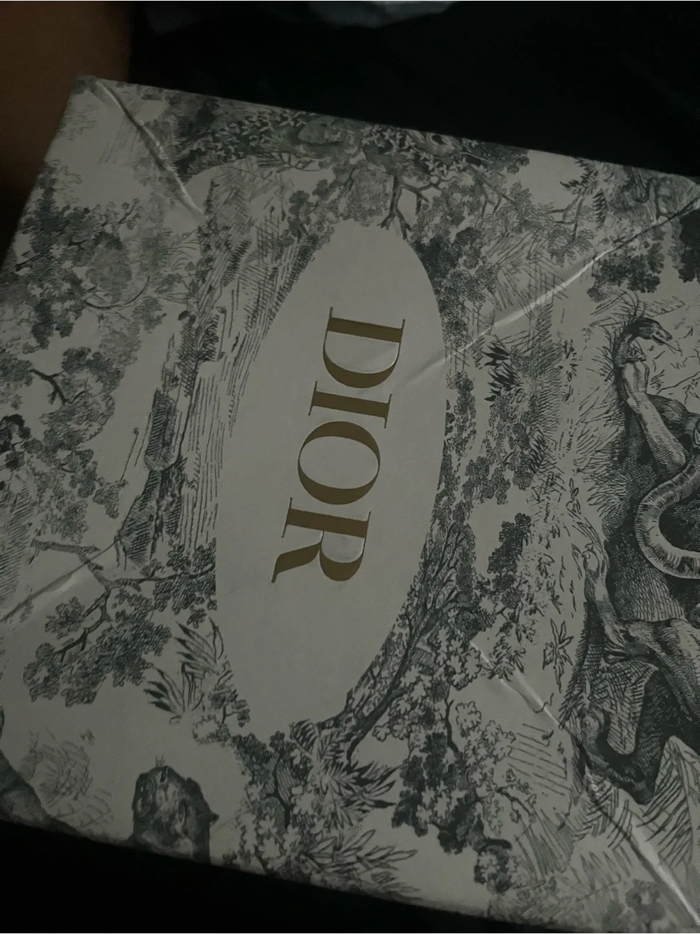 Dior Men’s Black and White Jacquard Logo Belt with Gold Buckle